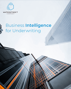 WaterStreet Company Business Intelligence Underwriting Brochure