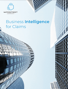 WaterStreet Company Business Intelligence Claims Brochure