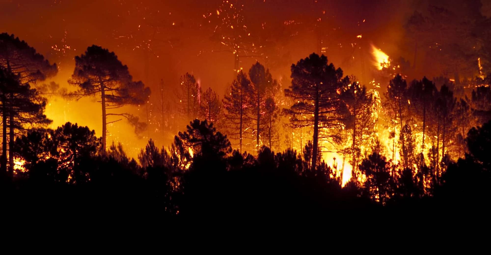 Learn how insurers can improve measuring wildfire risk with geolocation data. | WaterStreet Company