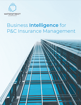 WaterStreet Company Business Intelligence Executive Brochure